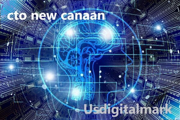 CTO new Canaan