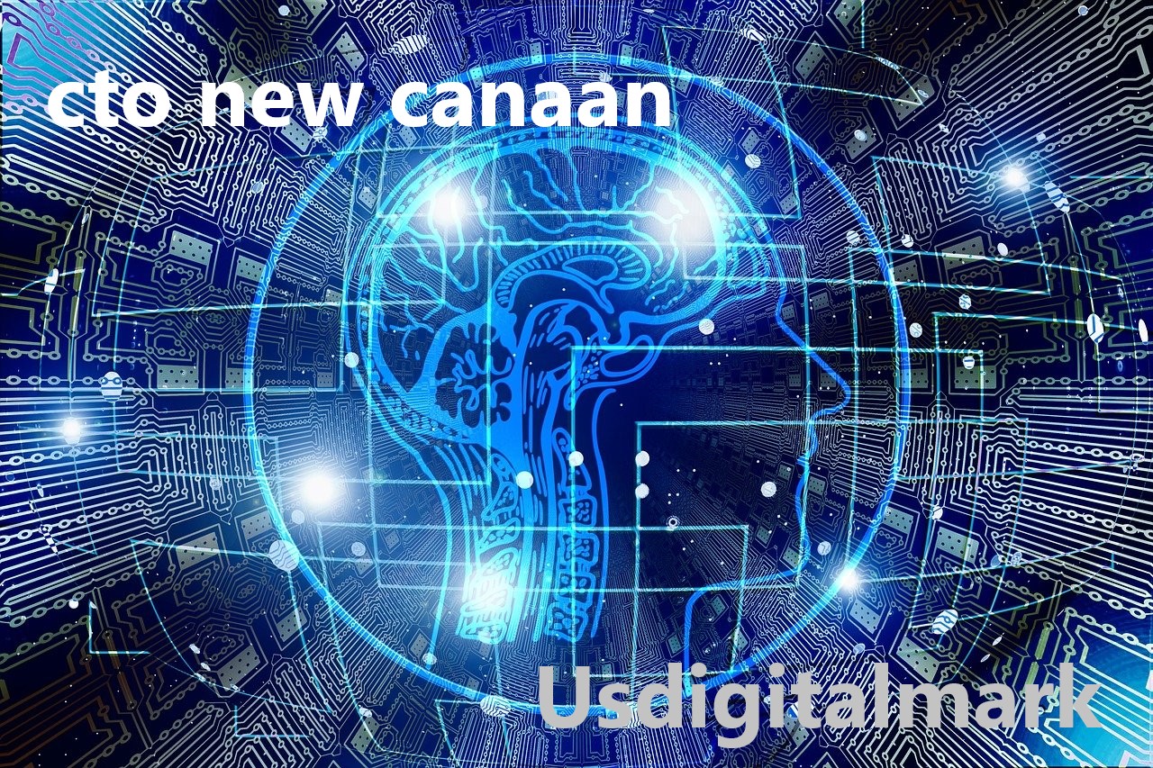 CTO new Canaan