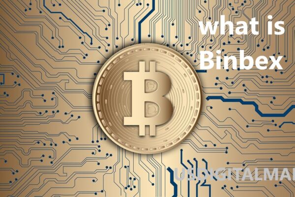 what is binbex?