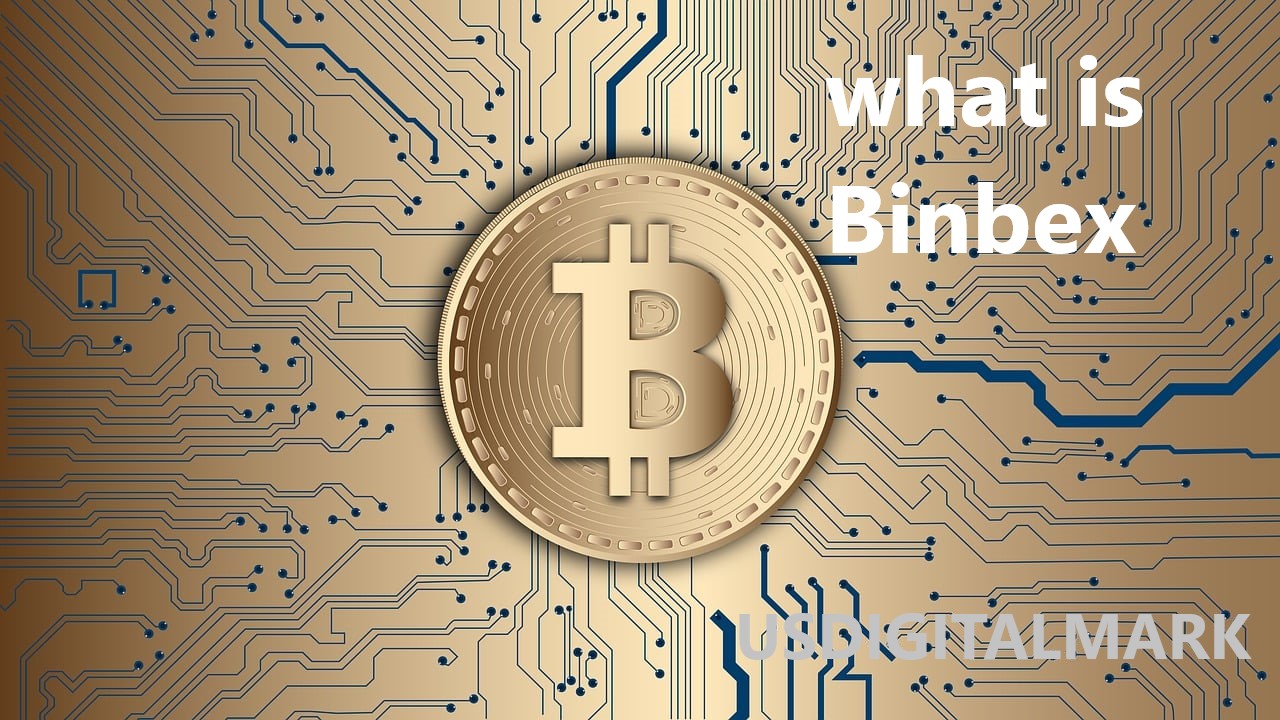 what is binbex?